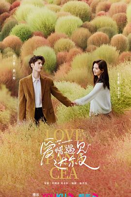 韩国日本簧片视频海报剧照